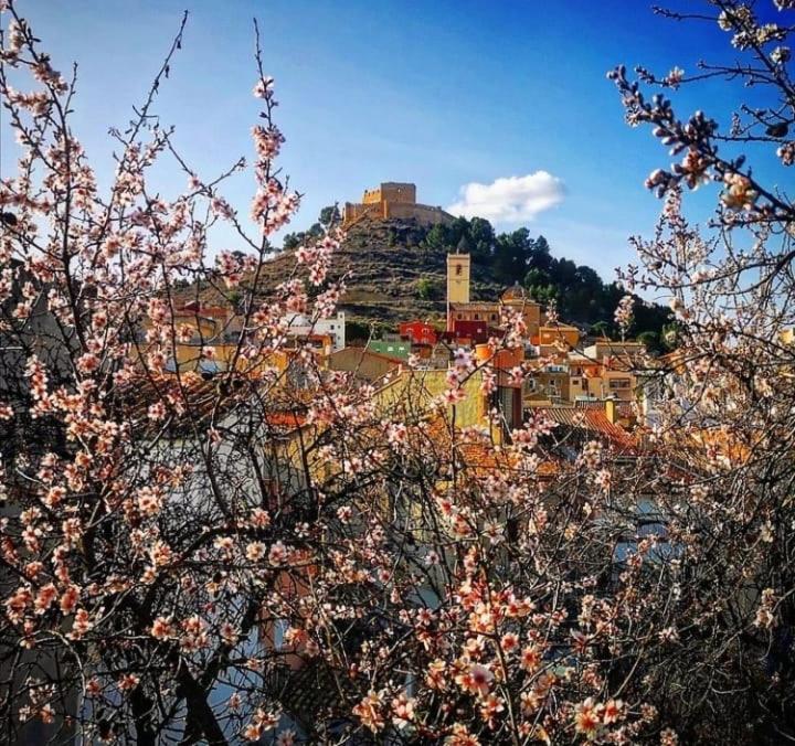 Aer Rural Apartment - Casillas Valle De Ayora Jalance Dış mekan fotoğraf