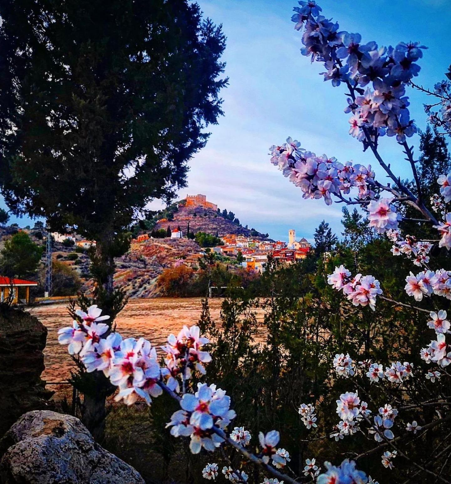Aer Rural Apartment - Casillas Valle De Ayora Jalance Dış mekan fotoğraf